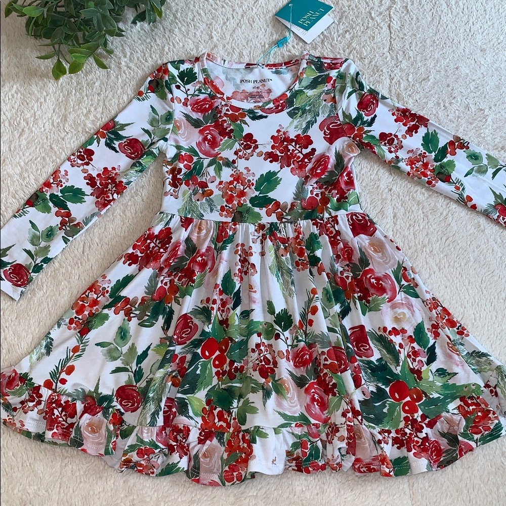 NWT Posh Peanut Beatrix Ruffled Twirl Dress 3/4 Holiday Bamboo
